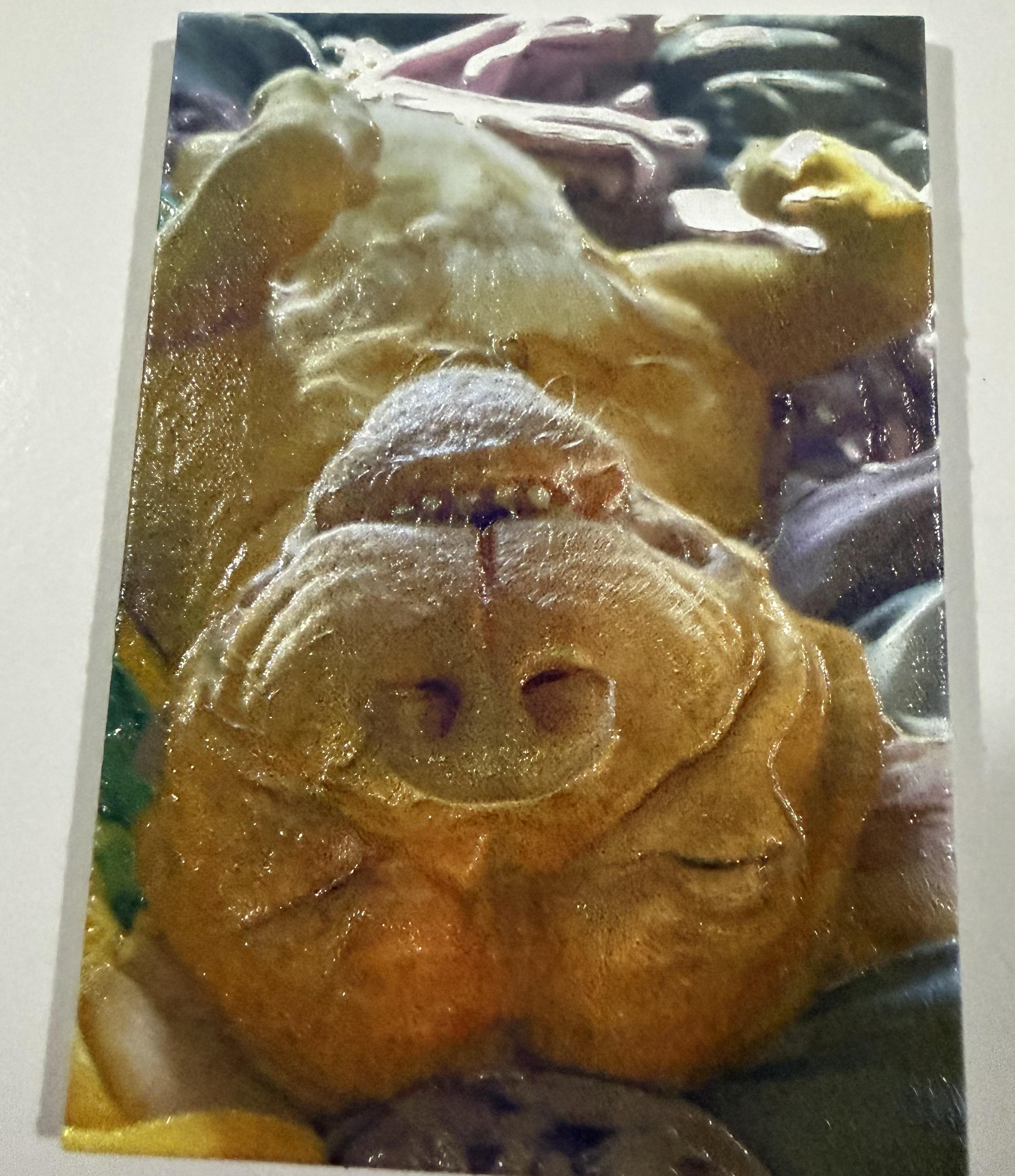 A textured picture of a ginger dog lying on a blanket