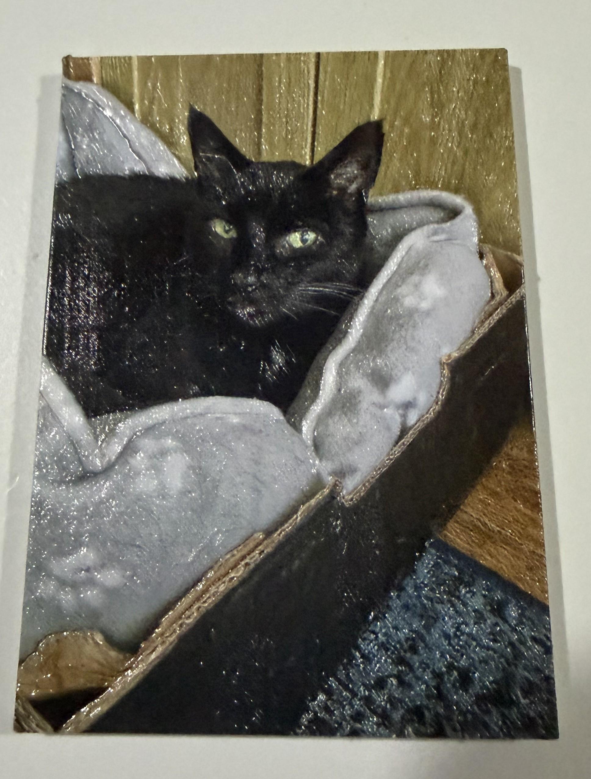 A textured picture of a black cat, sitting on a white blanket, in a box
