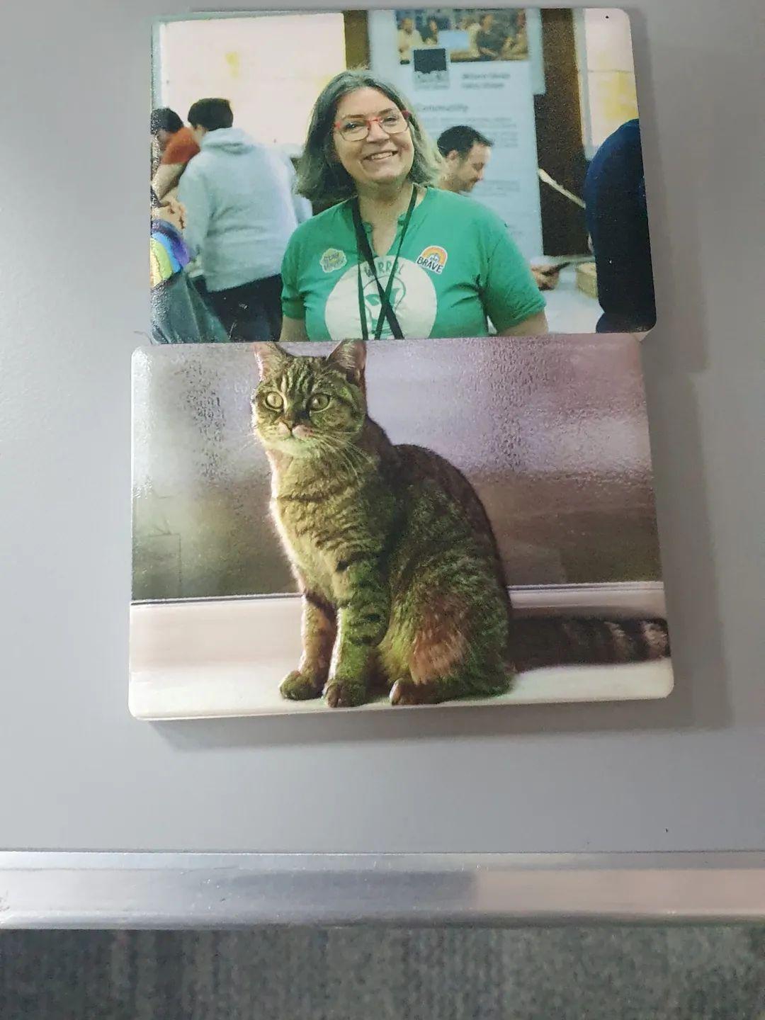 Fridge magnets of Alison Bailey Smith, and Powei's cat