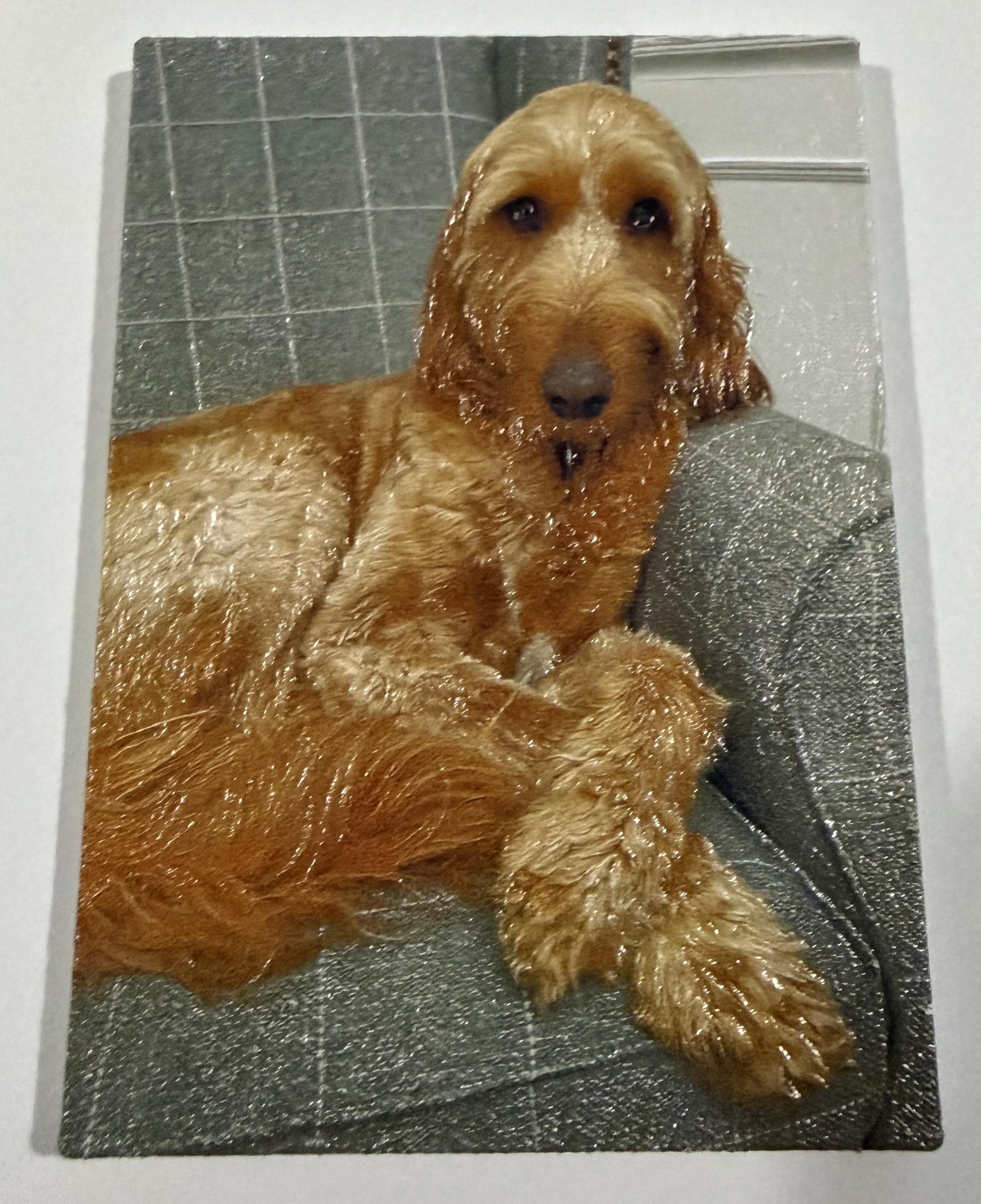 A textured picture of a ginger dog sitting on a checked sofa